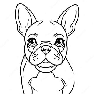 Bouledogue Français Pages À Colorier