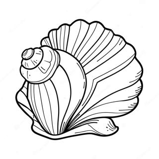 Page De Coloriage De Coquillage 74137-17507