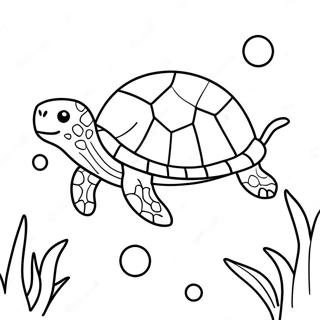 Tortue Pages À Colorier