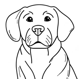 Page De Coloriage De Labrador 81981-23575