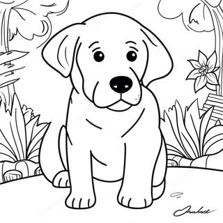 Page De Coloriage De Labrador 81981-23576