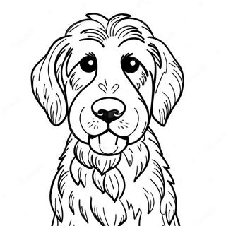 Goldendoodle Pages À Colorier