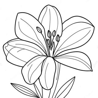 Page De Coloriage De La Fleur De Lys 87311-27844