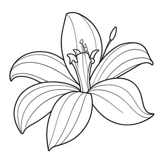 Page De Coloriage De La Fleur De Lys Elegante En Fleur 87313-27852