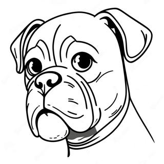 Page De Coloriage Chien Boxer 89703-29874