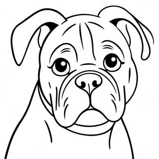 Page De Coloriage Chien Boxer Joueur 89704-29878