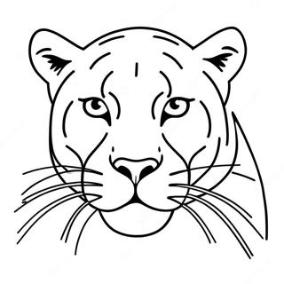 Page De Coloriage De Cougar 98880-37615